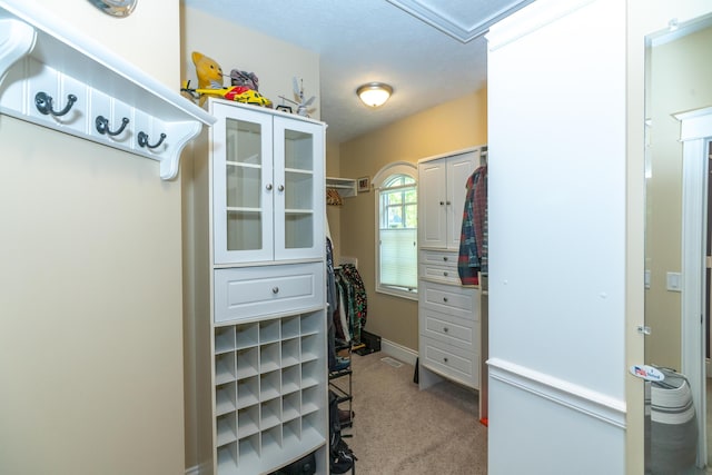 10543 Lakeshore Dr, West Olive, MI 49460 - walk in closet featuring carpet