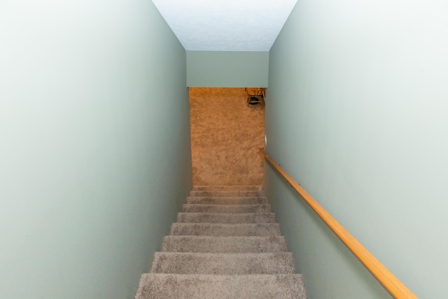 10543 Lakeshore Dr, West Olive, MI 49460 - stairway featuring carpet floors