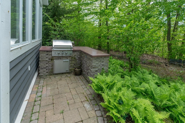 10543 Lakeshore Dr, West Olive, MI 49460 - view of patio