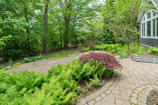10543 Lakeshore Dr, West Olive, MI 49460 - view of yard
