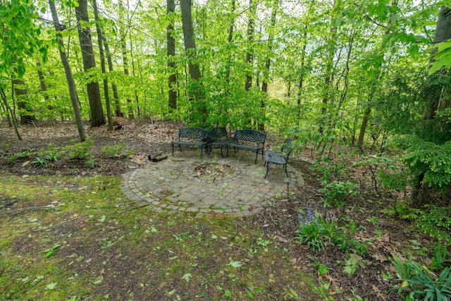 10543 Lakeshore Dr, West Olive, MI 49460 - view of patio