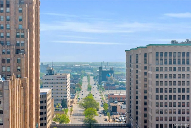 756 Delaware St, Detroit, MI 48202 - view of city