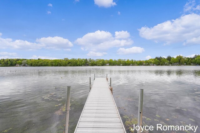 161 Beechwood Dr SW, Stanton, MI 48888