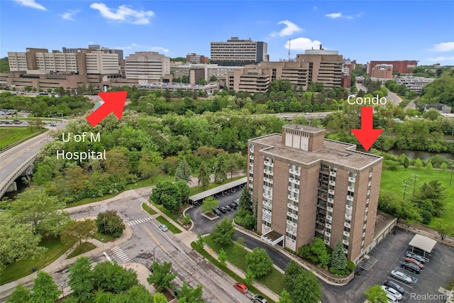 1050 Wall St Unit 8F, Ann Arbor, MI 48105 - view of urban area