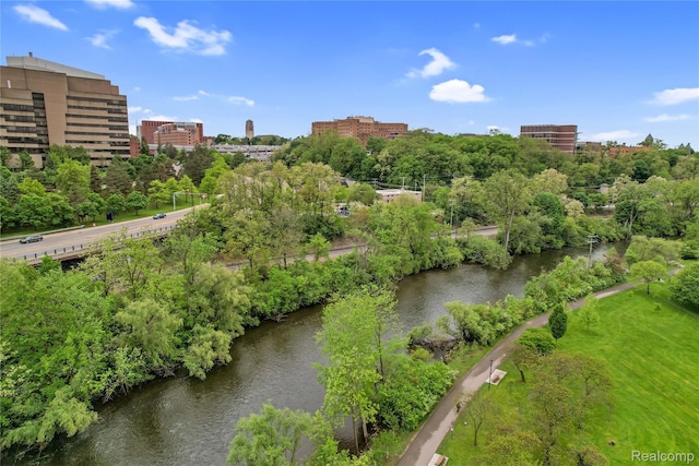 1050 Wall St Unit 8F, Ann Arbor, MI 48105 - view of urban area featuring a tree filled landscape and a nearby body of water