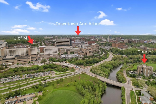 1050 Wall St Unit 8F, Ann Arbor, MI 48105 - view of urban area