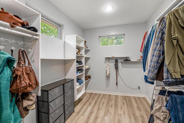 4958 Juniper Rdg, Newaygo, MI 49337 - spacious closet featuring light wood-style flooring