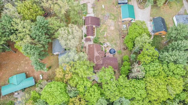4958 Juniper Rdg, Newaygo, MI 49337 - aerial view of property's location