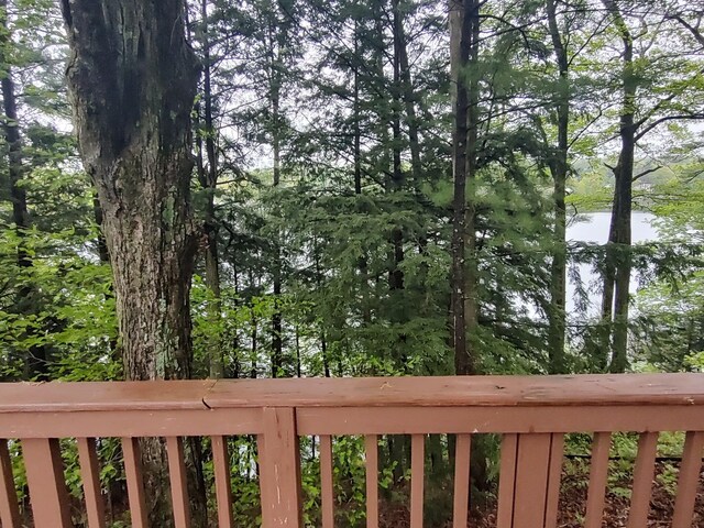 4958 Juniper Rdg, Newaygo, MI 49337 - water view