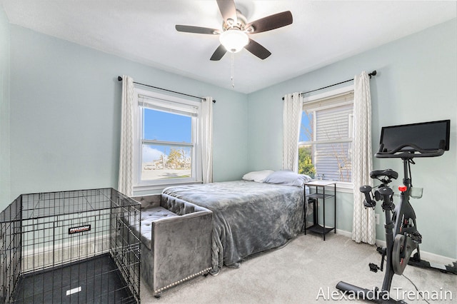 1046 Kenesaw Dr SE, East Grand Rapids, MI 49506 - bedroom with baseboards, carpet flooring, and a ceiling fan