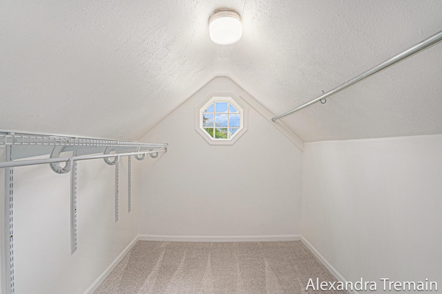 1046 Kenesaw Dr SE, East Grand Rapids, MI 49506 - walk in closet featuring lofted ceiling and carpet flooring