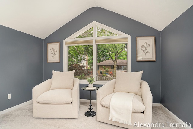 1046 Kenesaw Dr SE, East Grand Rapids, MI 49506 - sitting room featuring vaulted ceiling, carpet floors, and baseboards