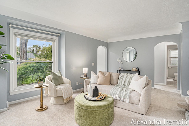 1046 Kenesaw Dr SE, East Grand Rapids, MI 49506 - living area with arched walkways, carpet, baseboards, and plenty of natural light