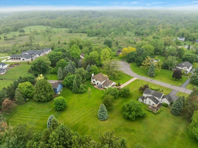 4047 Ramsgate Ct, Ann Arbor, MI 48103 - bird's eye view of a forest