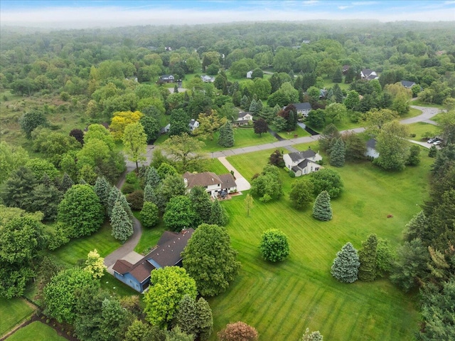 4047 Ramsgate Ct, Ann Arbor, MI 48103 - bird's eye view