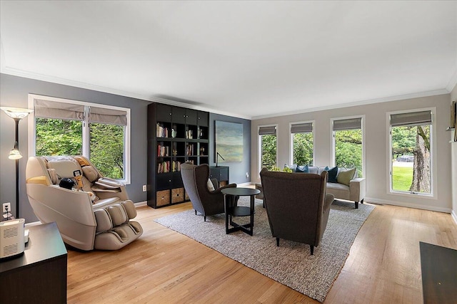 4047 Ramsgate Ct, Ann Arbor, MI 48103 - living room featuring crown molding, light wood-style flooring, and baseboards