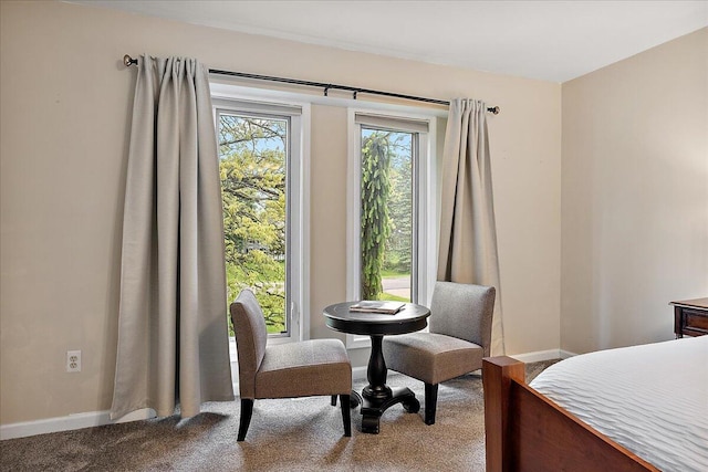 4047 Ramsgate Ct, Ann Arbor, MI 48103 - bedroom featuring carpet and baseboards
