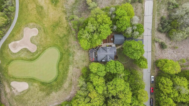 2506 Hawks Eye Dr, Bellaire, MI 49615