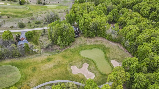2506 Hawks Eye Dr, Bellaire, MI 49615