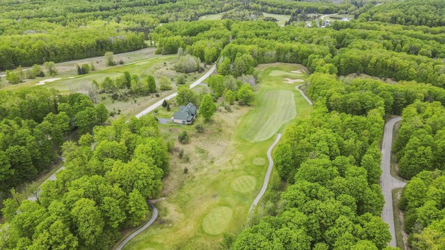 2506 Hawks Eye Dr, Bellaire, MI 49615