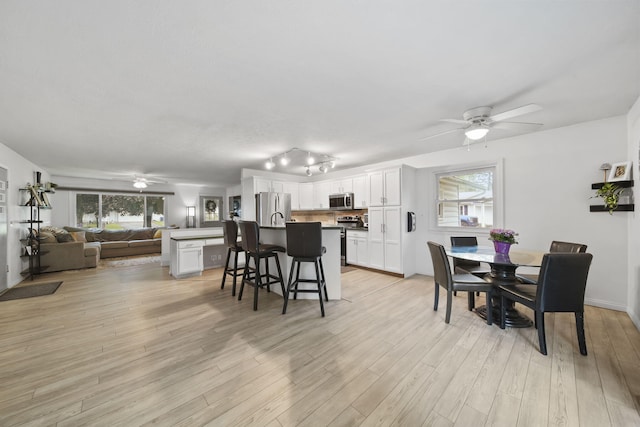 2837 Elmwood Dr, Adrian, MI 49221 - dining room with ceiling fan, plenty of natural light, and light wood-style flooring