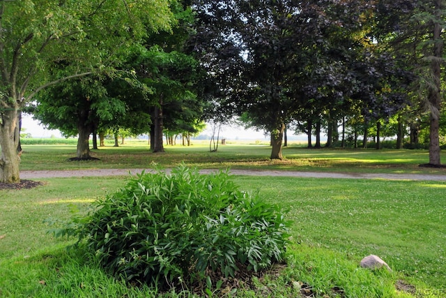 12765 Sand Creek Highway, Sand Creek, MI 49279 - view of home's community with a lawn