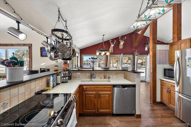 5240 Thomas Rd, Metamora, MI 48455 - kitchen with appliances with stainless steel finishes, a sink, backsplash, dark wood-style floors, and lofted ceiling