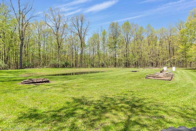 5240 Thomas Rd, Metamora, MI 48455 - view of green lawn with a forest view
