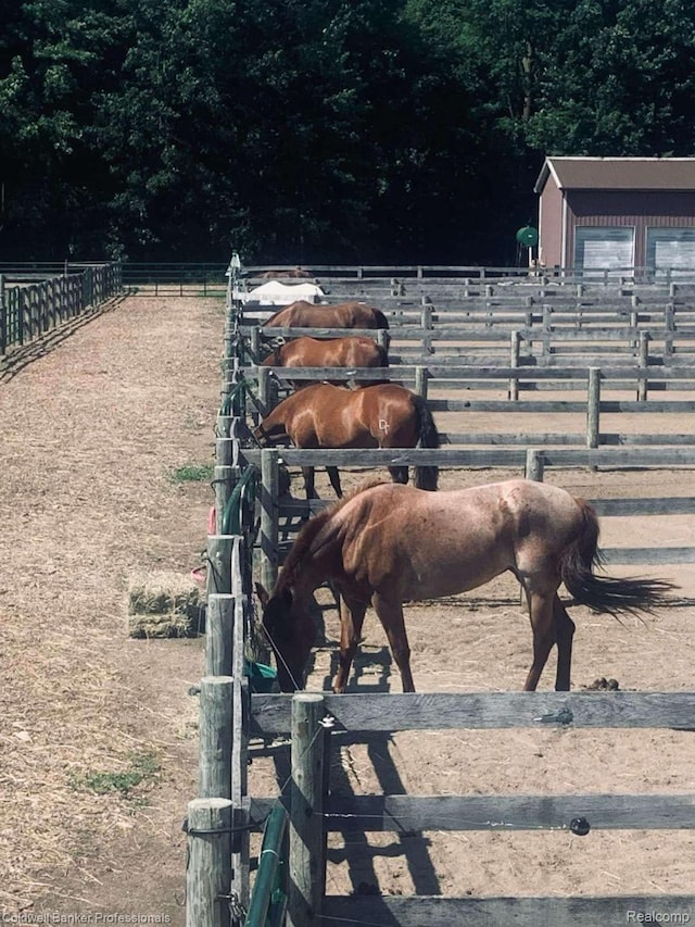 5240 Thomas Rd, Metamora, MI 48455 - horse barn featuring a rural view