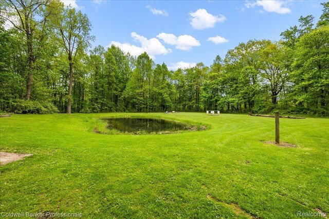 5240 Thomas Rd, Metamora, MI 48455 - view of grassy yard