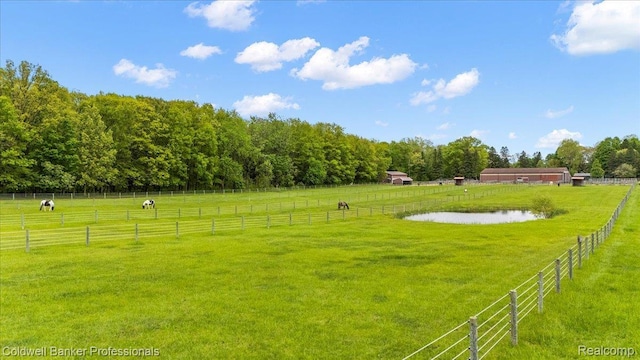5240 Thomas Rd, Metamora, MI 48455 - view of yard featuring a rural view and a water view