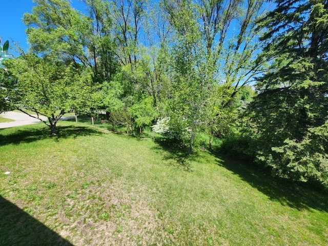 8888 Ferry St, Montague, MI 49437 - photo 8