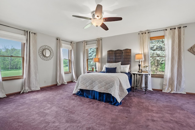 8300 W X Ave, Schoolcraft, MI 49087 - bedroom with multiple windows, carpet floors, and a ceiling fan