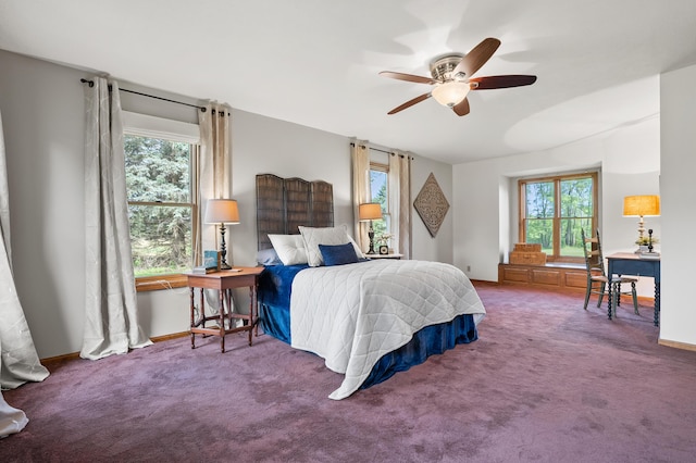 8300 W X Ave, Schoolcraft, MI 49087 - bedroom featuring multiple windows, carpet flooring, baseboards, and ceiling fan