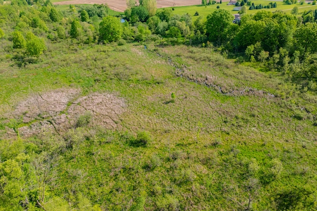 8300 W X Ave, Schoolcraft, MI 49087 - view of rural area