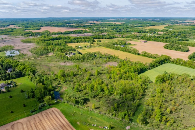 8300 W X Ave, Schoolcraft, MI 49087 - overview of rural landscape