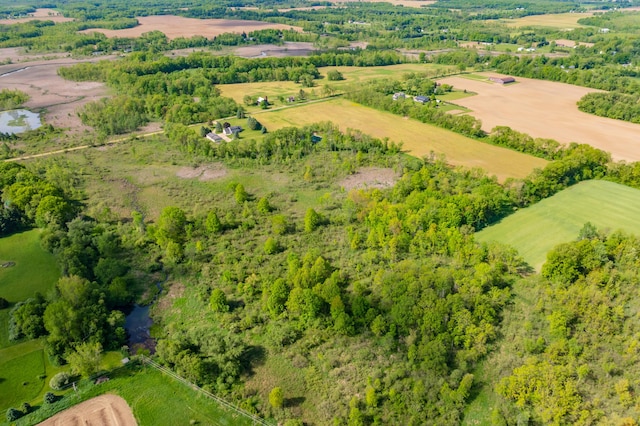 8300 W X Ave, Schoolcraft, MI 49087 - aerial view of sparsely populated area