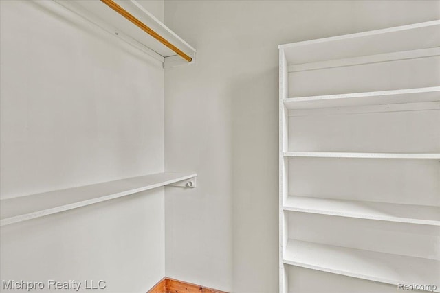 3434 Brown City Rd, Imlay City, MI 48444 - view of walk in closet