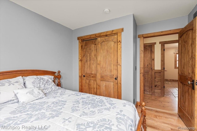 3434 Brown City Rd, Imlay City, MI 48444 - bedroom featuring light wood-style floors and a closet