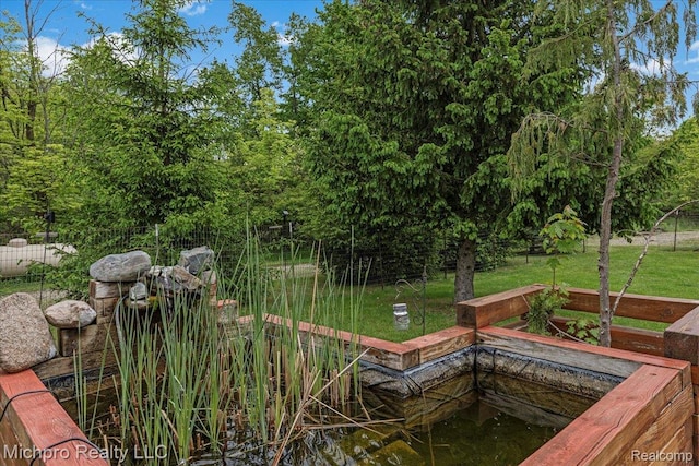 3434 Brown City Rd, Imlay City, MI 48444 - view of yard