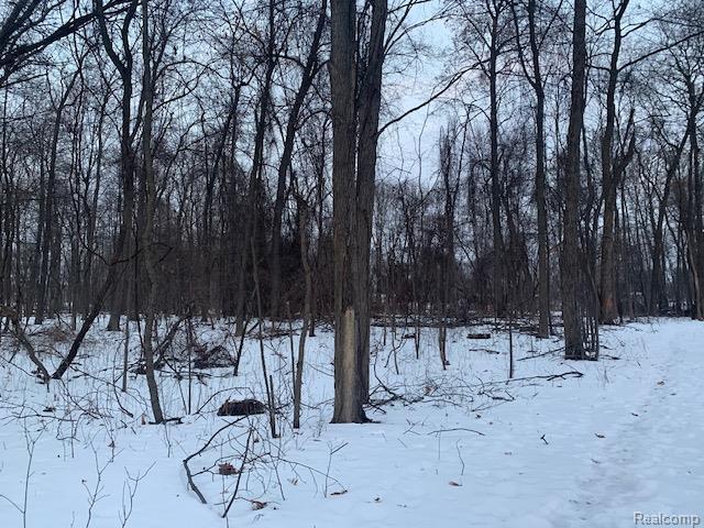 VLLotDTrl Chevron, Highland, MI 48356