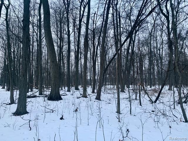 VLLotDTrl Chevron, Highland, MI 48356