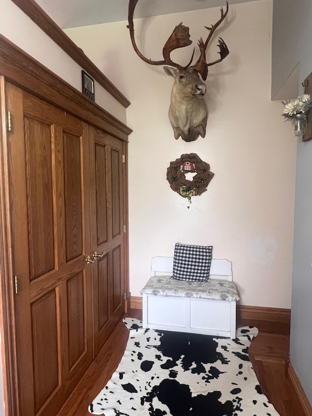 132 W Lansing Rd, Morrice, MI 48857 - mudroom with baseboards and dark wood-style floors
