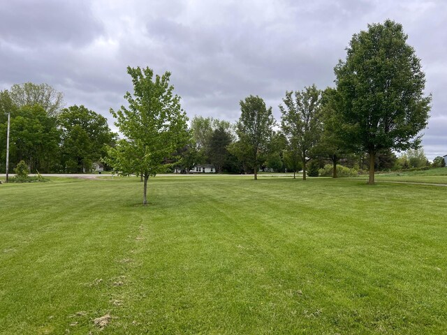 132 W Lansing Rd, Morrice, MI 48857 - view of green lawn