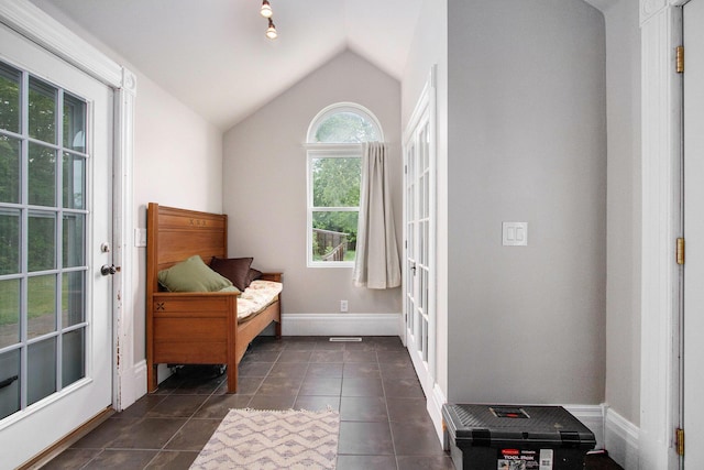 110 N O Keefe St, Cassopolis, MI 49031 - foyer entrance with lofted ceiling, baseboards, and dark tile patterned floors
