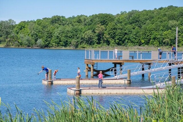 110 N O Keefe St, Cassopolis, MI 49031 - dock featuring a water view and a forest view
