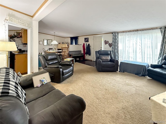 91 Sangam Pl, Swartz Creek, MI 48473 - living area with ornamental molding and carpet