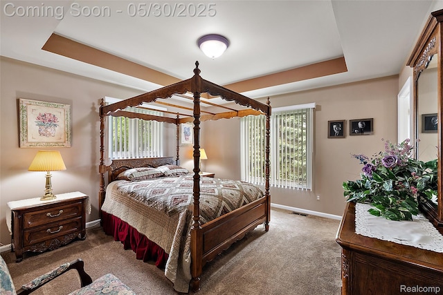 16106 Nathan Dr, Macomb, MI 48044 - bedroom with baseboards, carpet, and a raised ceiling