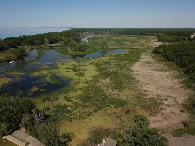210 E Water St, New Buffalo, MI 49117 - aerial view of property's location featuring a large body of water