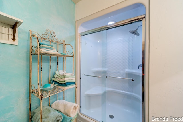 7561 Wiczer Dr, Whitehall, MI 49461 - full bath with a stall shower